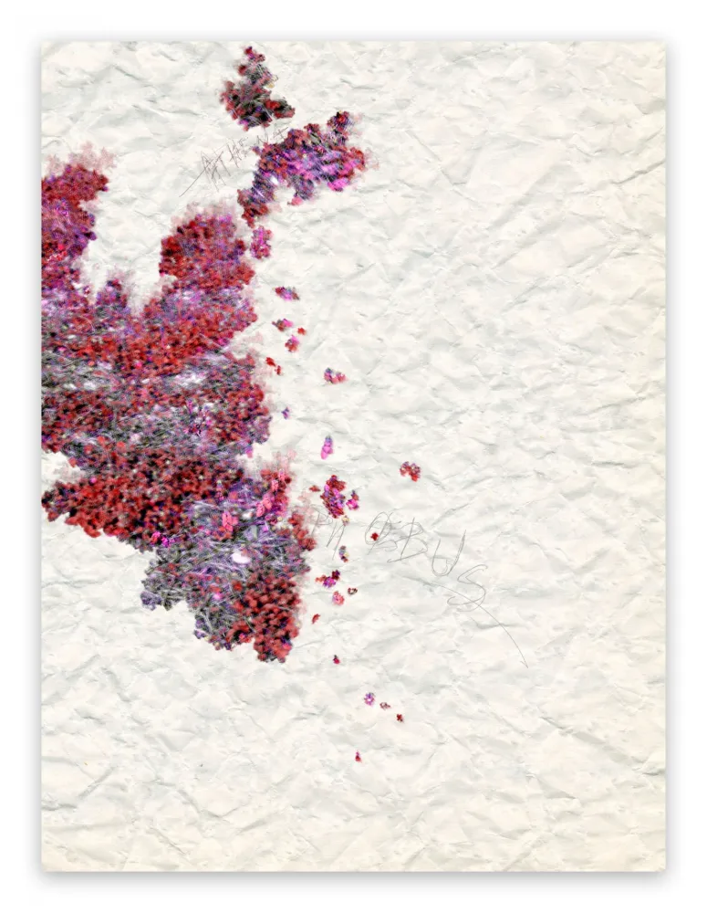 Fotografie Pezzot - X: Pleasant Dementia