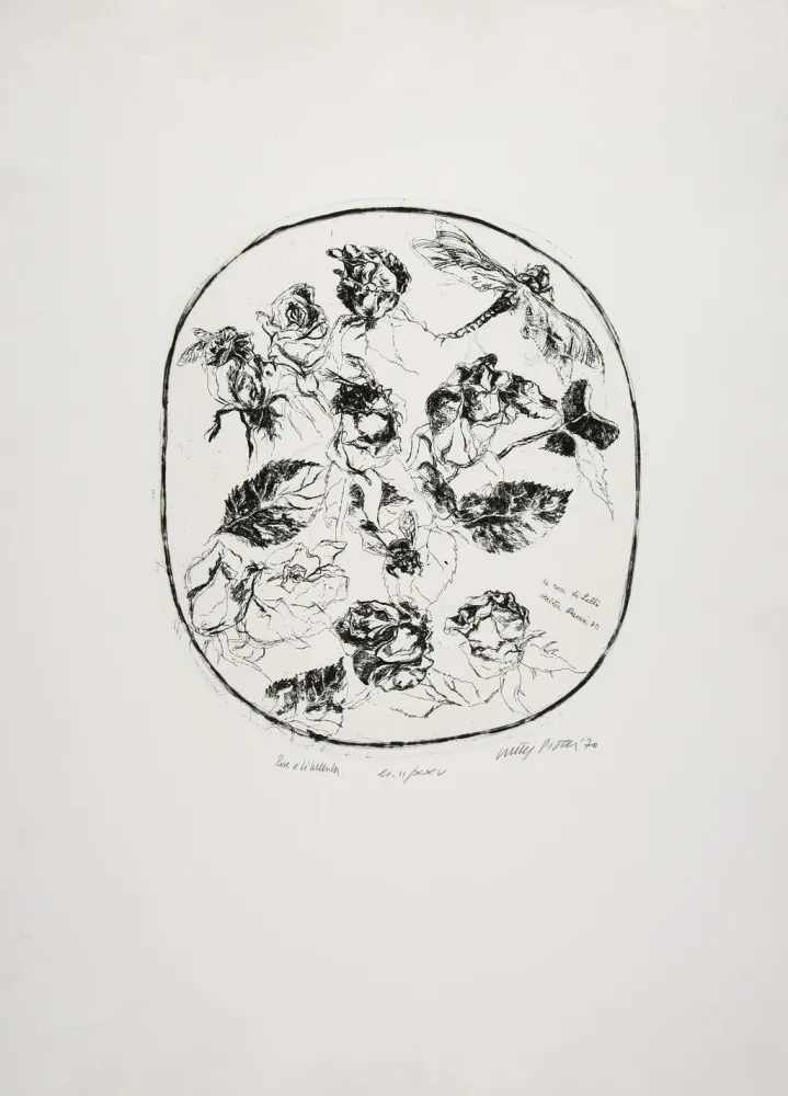 Ets Piacesi - Rose e libellula