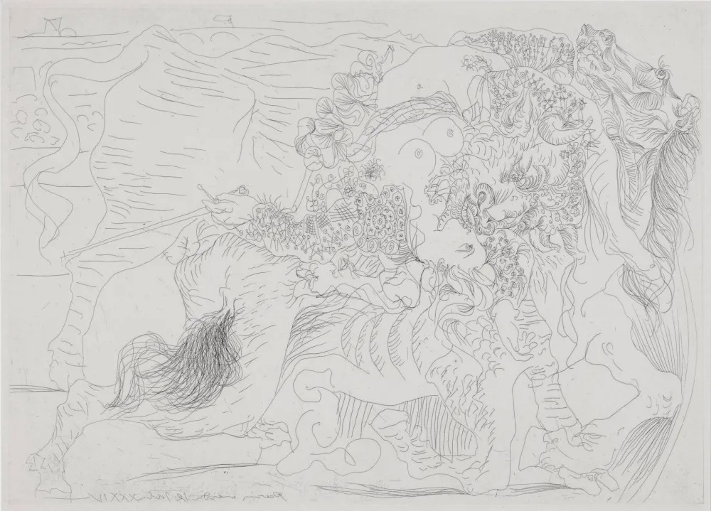 Ets Picasso - Femme Torero I