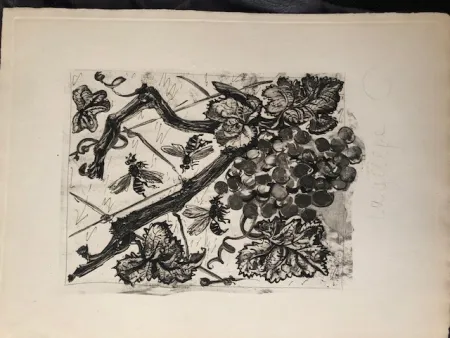 Aquatint Picasso - La guêpe