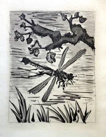 Ets En Aquatint Picasso - LA LIBELLULE