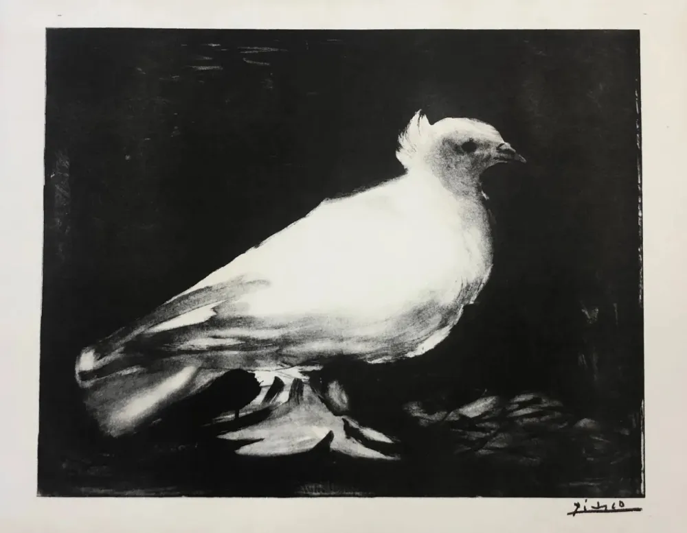 Lithografie Picasso - La petite Colombe