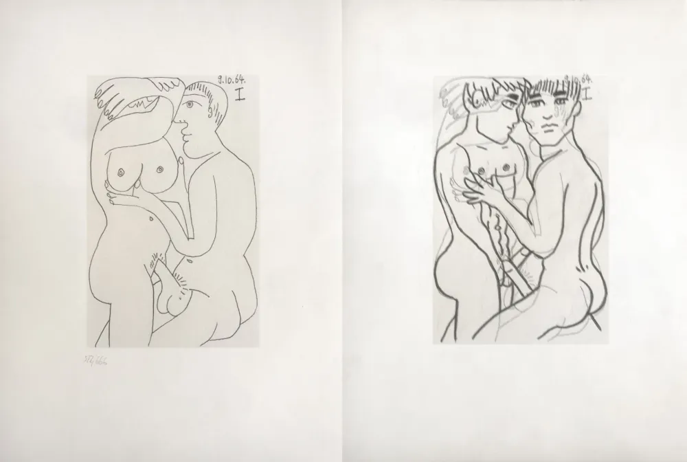 Geen Techniek Picasso - Picasso and Me 