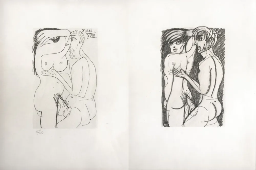 Geen Techniek Picasso - Picasso and Me 