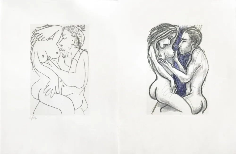 Geen Techniek Picasso - Picasso and Me 