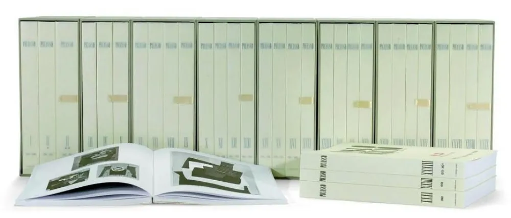 Geïllustreerd Boek Picasso - PICASSO CATALOGUE RAISONNÉ (Zervos)