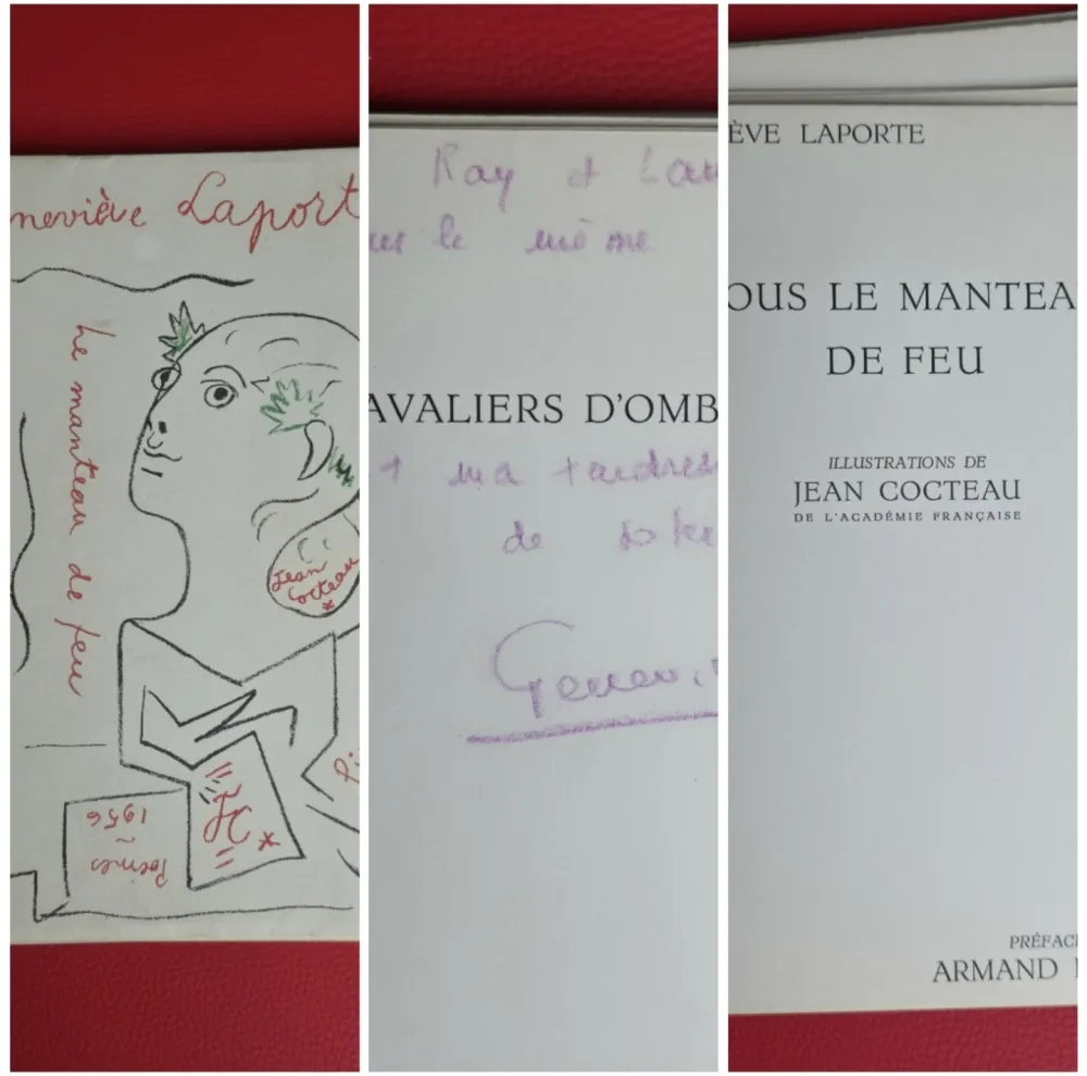 Geïllustreerd Boek Picasso - Signed - Genevieve Laporte Cavaliers d'ombre 