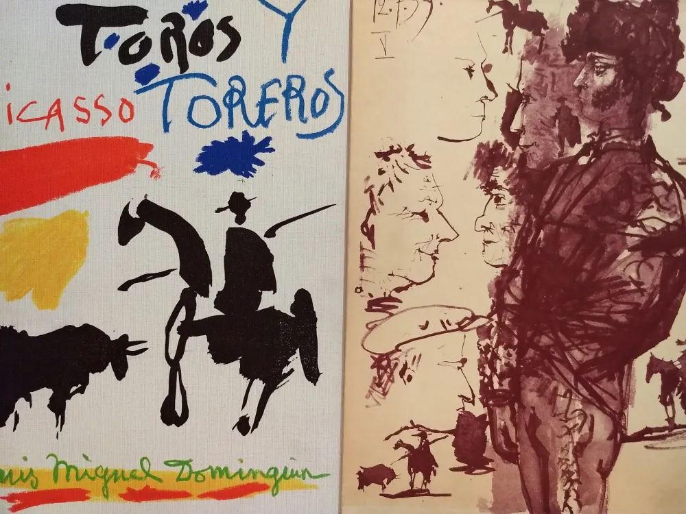 Geïllustreerd Boek Picasso - Toros Tore Ros