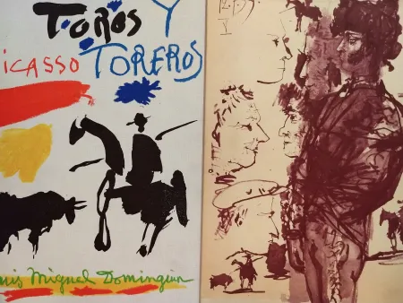 Geïllustreerd Boek Picasso - Toros Tore Ros