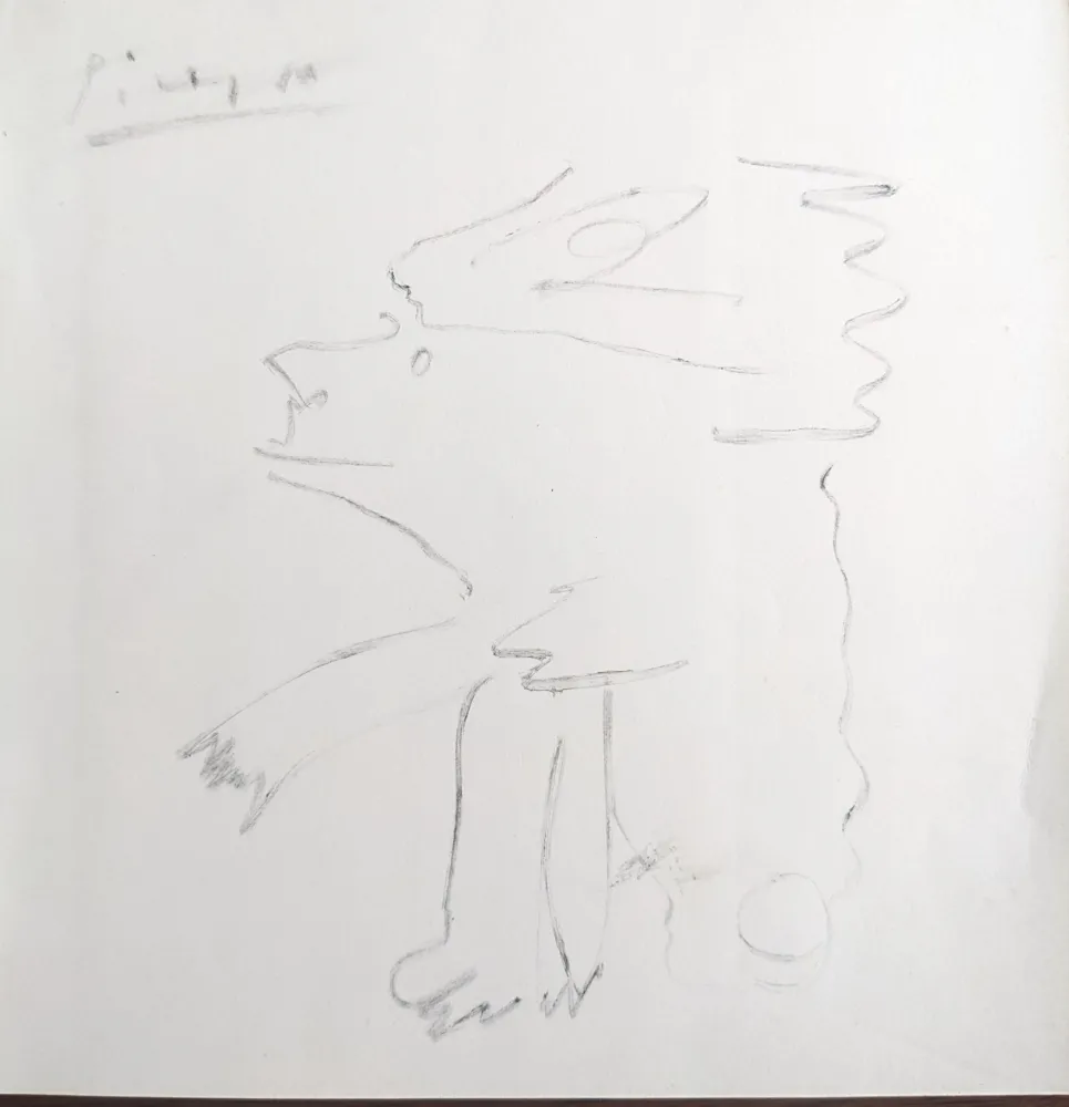 Geen Techniek Picasso - Untitled