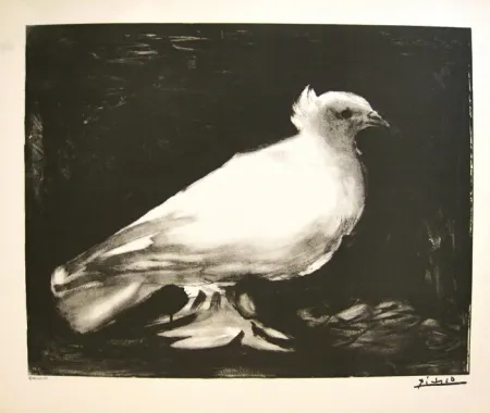 Lithografie Picasso - XXème anniversaire, mouvement de la paix (before lettering)