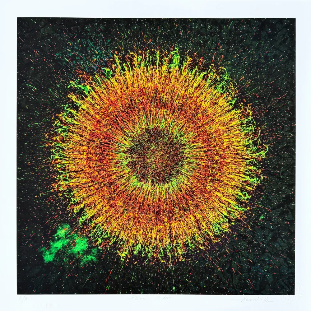 Digitale Print Picz - Phoenix Cluster