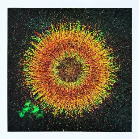 Digitale Print Picz - Phoenix Cluster