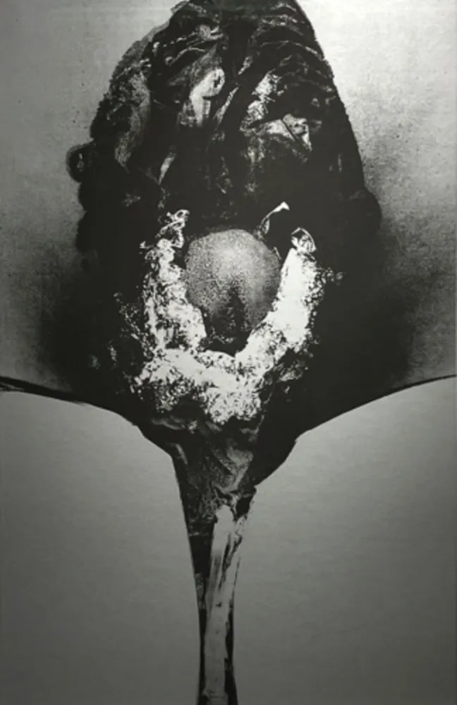 Zeefdruk Piene - Addis Abeba II