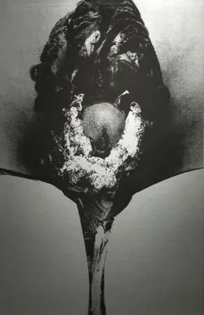 Zeefdruk Piene - Addis Abeba II