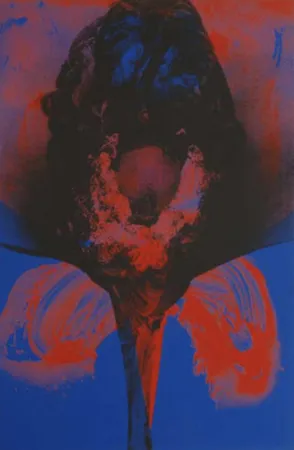 Zeefdruk Piene - Addis Abeba X