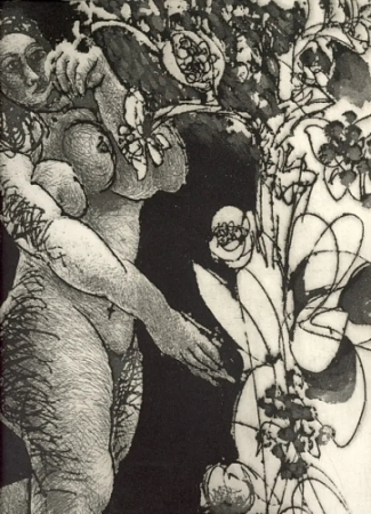 Geïllustreerd Boek Pignateli - Controra