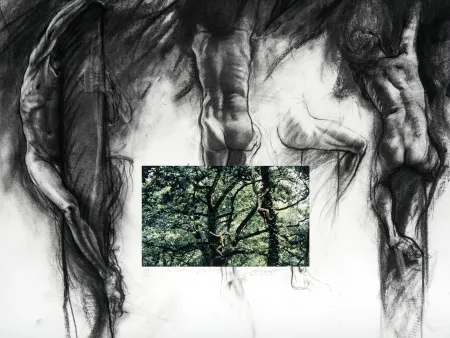 Digitale Print Pignon-Ernest - Arbrorigènes (Les)