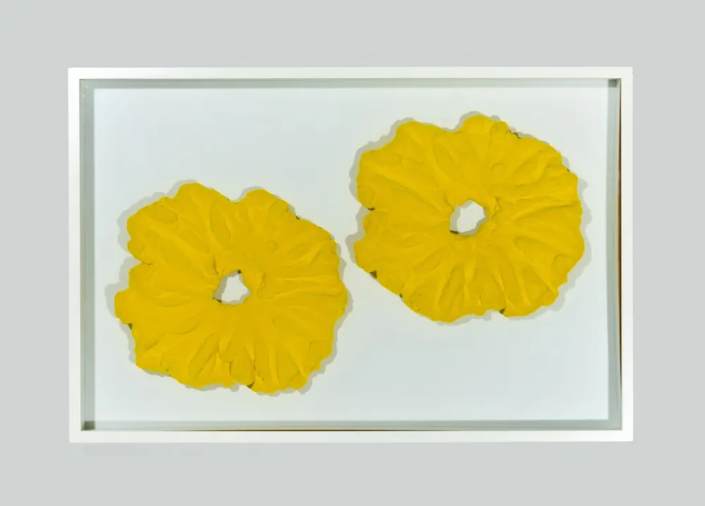 Geen Techniek Pinelli - Pittura G.