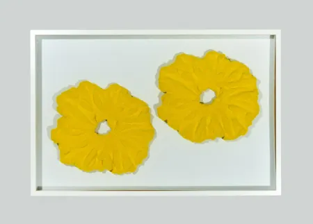 Geen Techniek Pinelli - Pittura G.