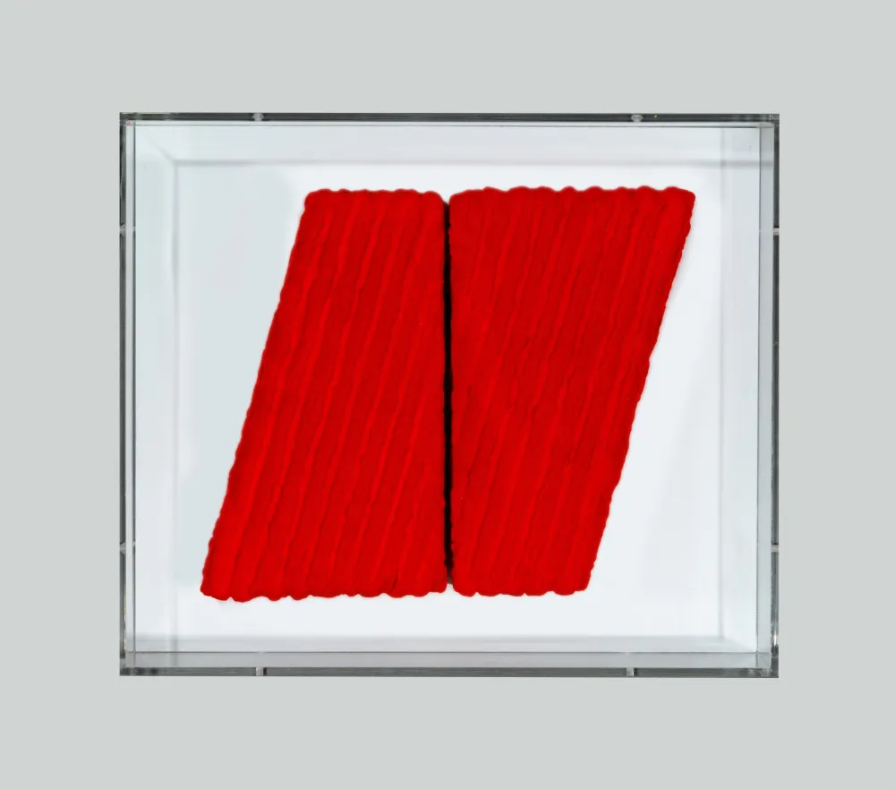 Geen Techniek Pinelli - Pittura R.