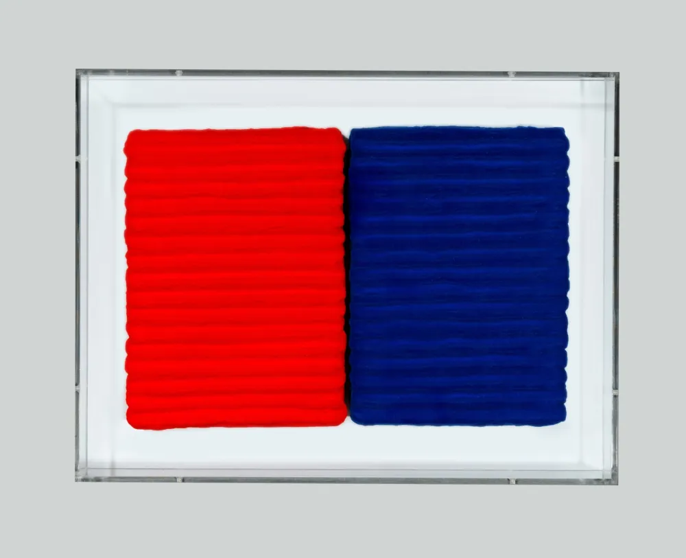 Geen Techniek Pinelli - Pittura R. BL