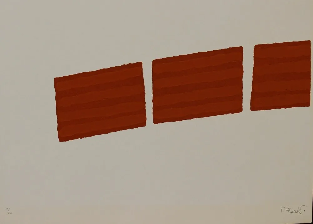 Zeefdruk Pinelli - SENZA TITOLO