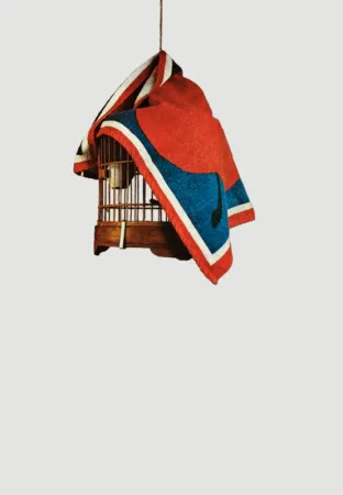 Zeefdruk Pistoletto - La gabbietta