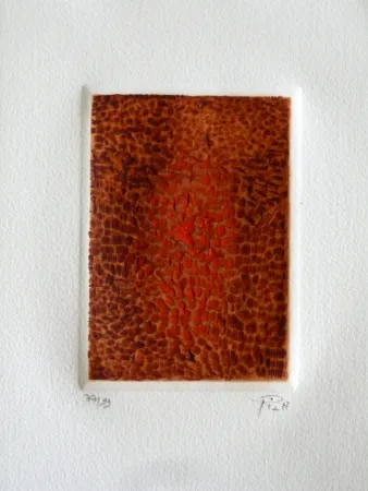 Ets En Aquatint Piza - Terre brulée