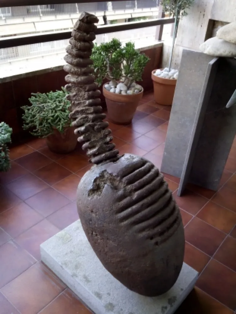 Geen Techniek Plensa - Cap - Teté