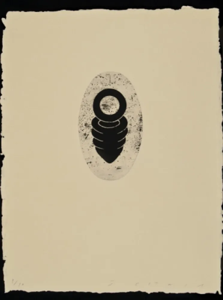 Ets En Aquatint Plensa - Suite Li