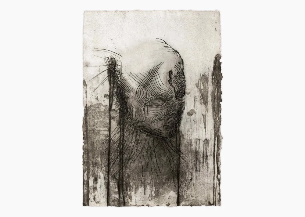 Gravure Plensa - Twins 1