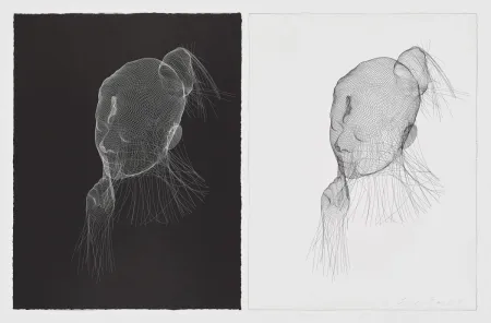 Lithografie Plensa - Wilsis en blanco y negro