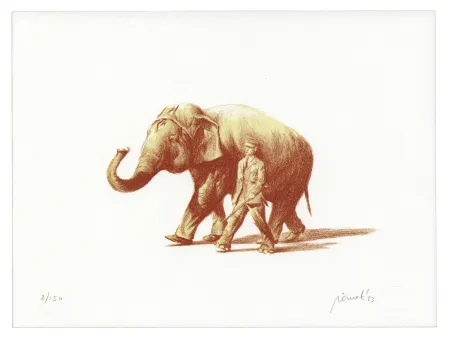 Lithografie Pomet - 6