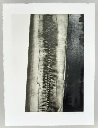 Aquatint Pomodoro - Composizione