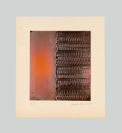 Reliëf Pomodoro - Lettera a metà