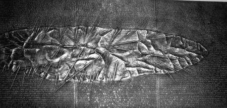 Geïllustreerd Boek Pomodoro - Sette frammenti da l'Arte dell'uomo primordiale