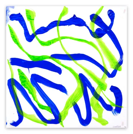 Geen Techniek Priest - Dolphin Dance 30