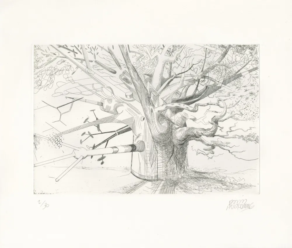 Ets Prudhomme - Arbre Evolution 1