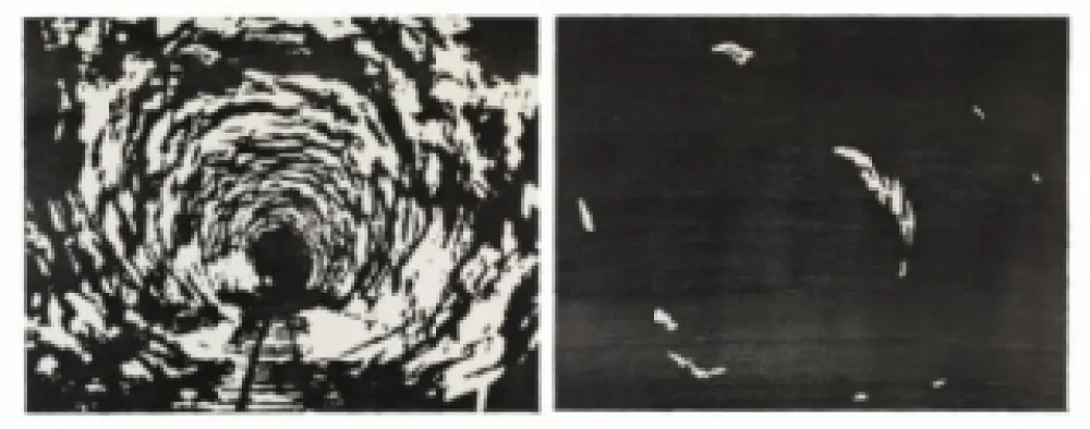 Houtsnede Putrih - Reprojection II  (IIa et IIb)