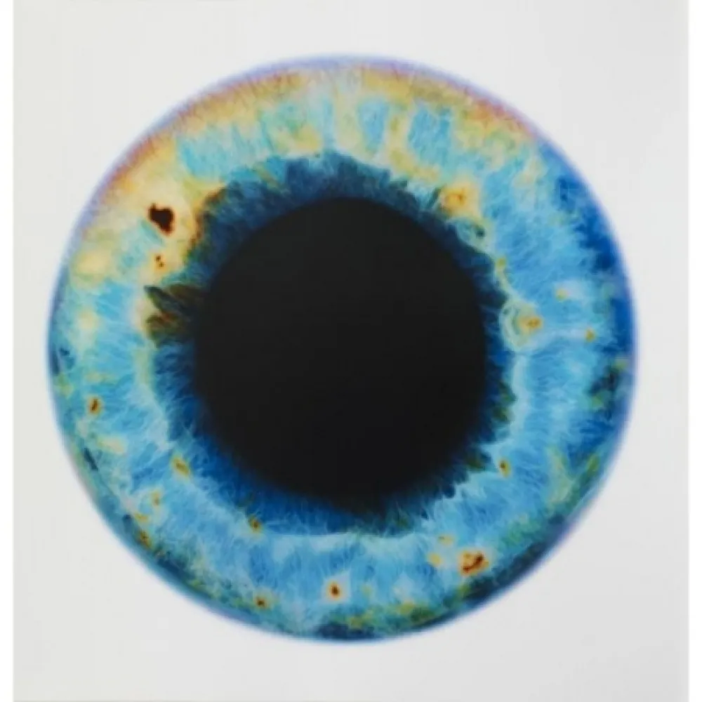 Geen Techniek Quinn - Blue Planet