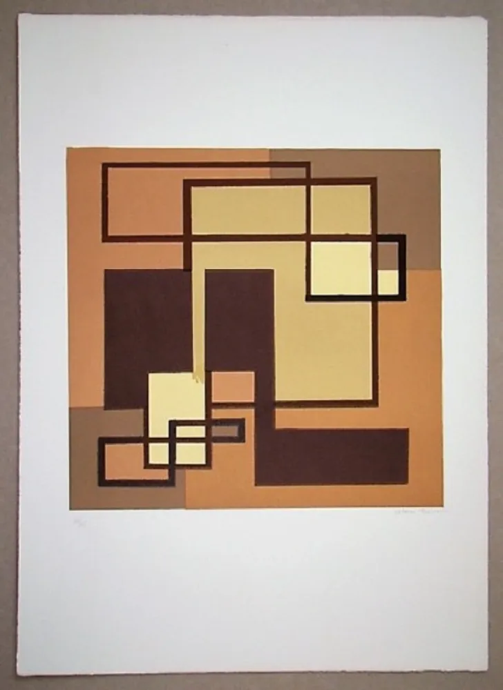 Lithografie Radice - Compositione astratta marrone