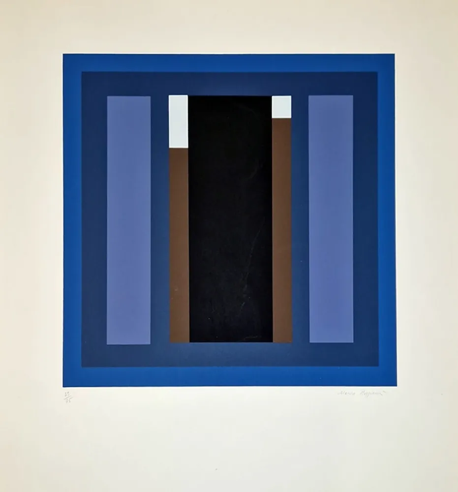 Zeefdruk Radice - Composizione