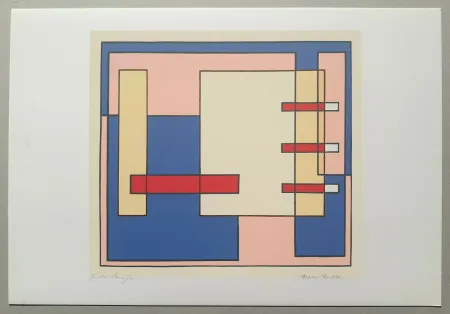 Zeefdruk Radice - Composizione Tav. 6