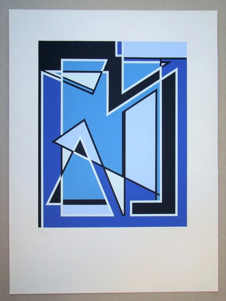 Zeefdruk Radice - Senza Titolo