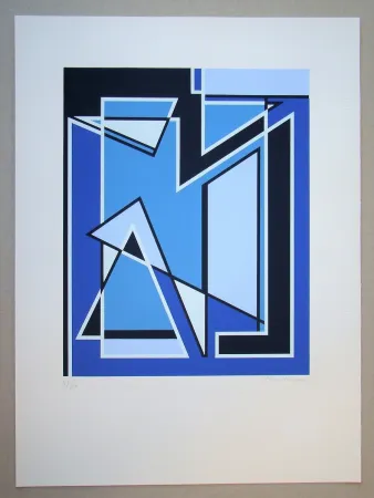 Zeefdruk Radice - Senza Titolo