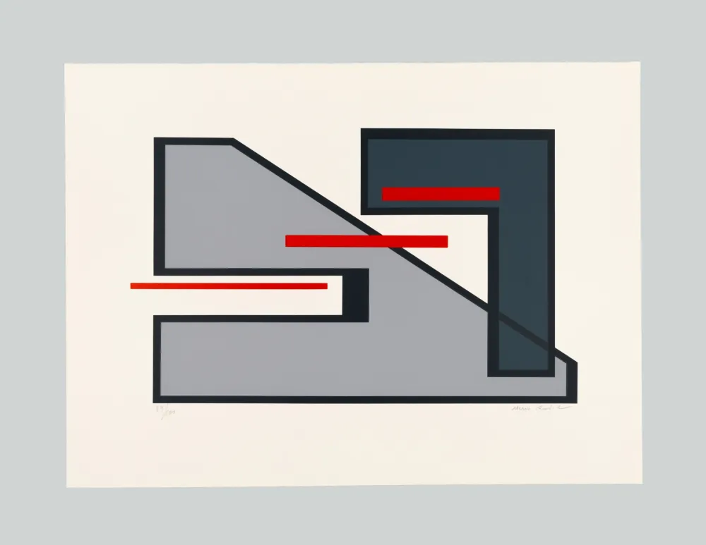 Zeefdruk Radice - Senza titolo