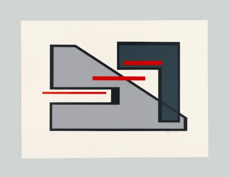 Zeefdruk Radice - Senza titolo