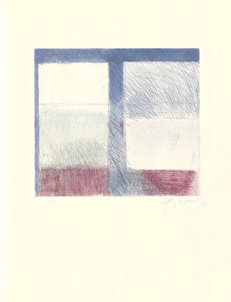 Ets En Aquatint Ràfols Casamada - Barcelona-8