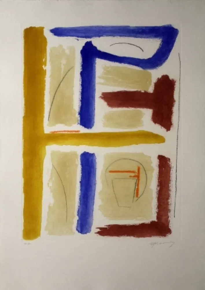 Ets En Aquatint Ràfols Casamada - Camí de primavera 4